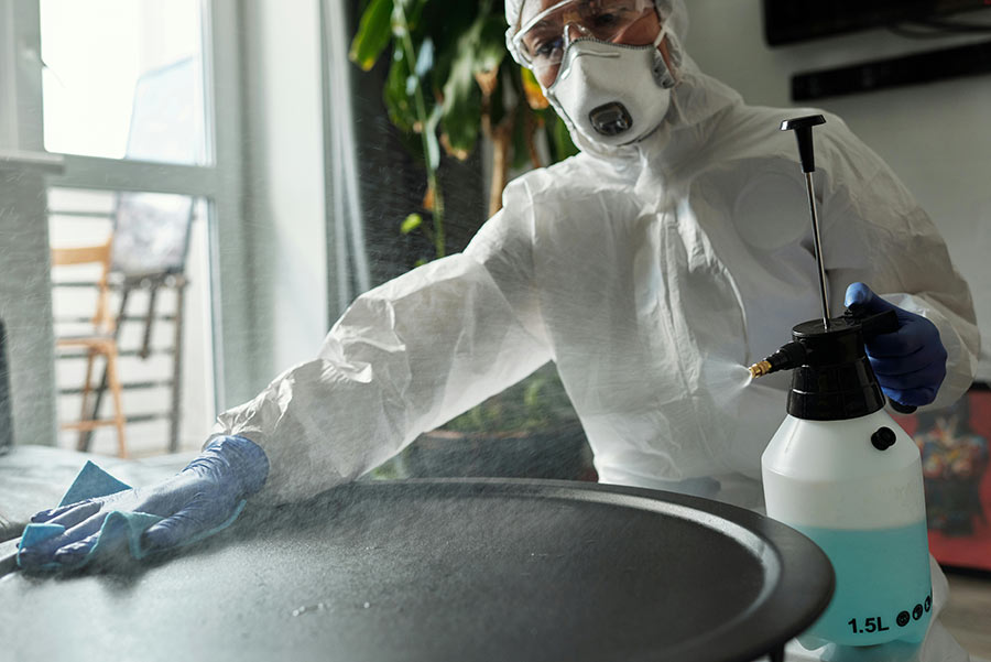 persona disinfetta superficie